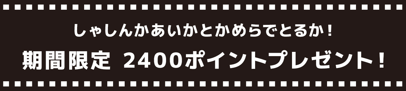 しゃしんかあいかとかめらでとるか！期間限定 2400ポイントプレゼント！